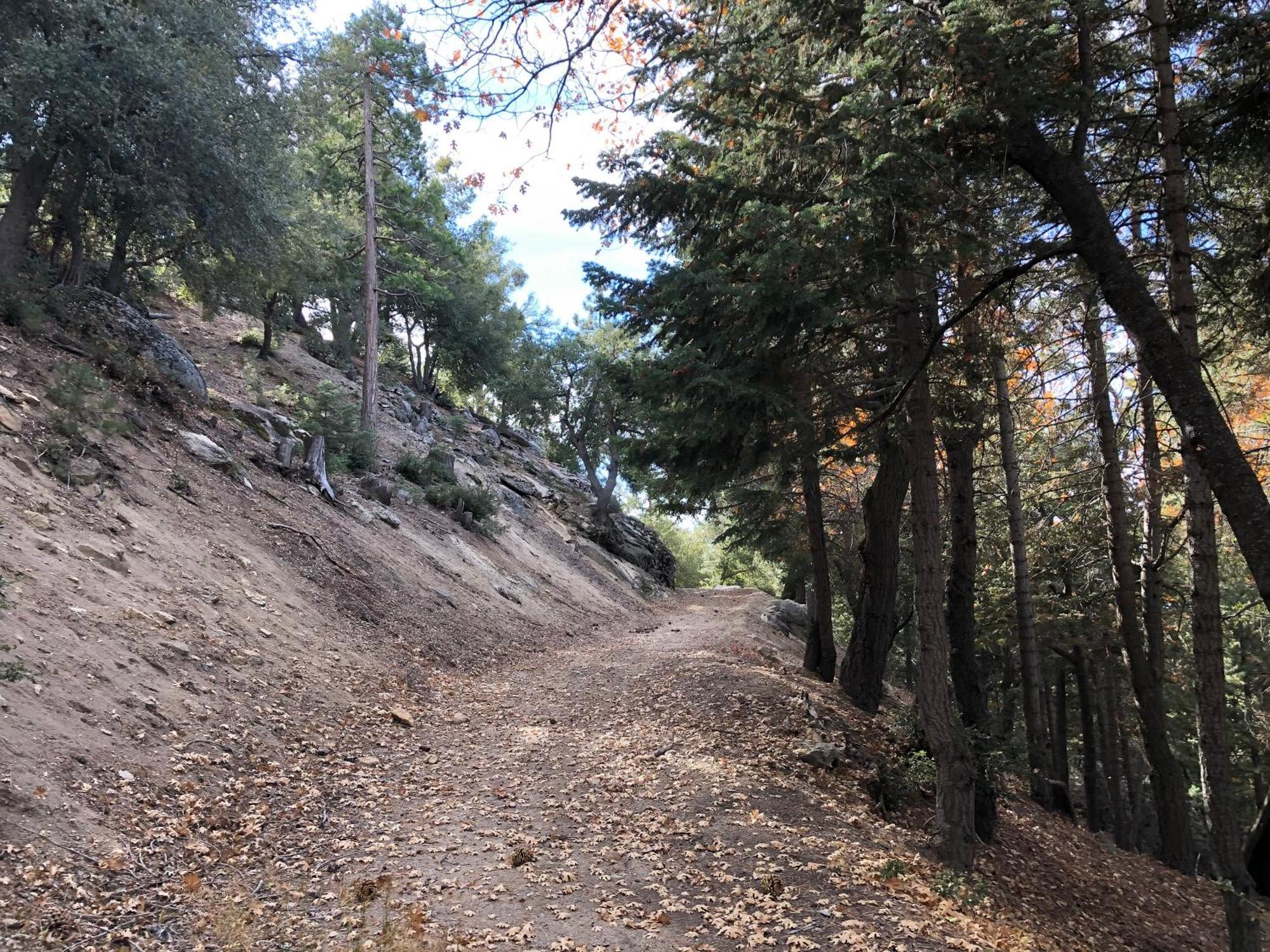 Alhatti Christian Resort Idyllwild Kültér fotó